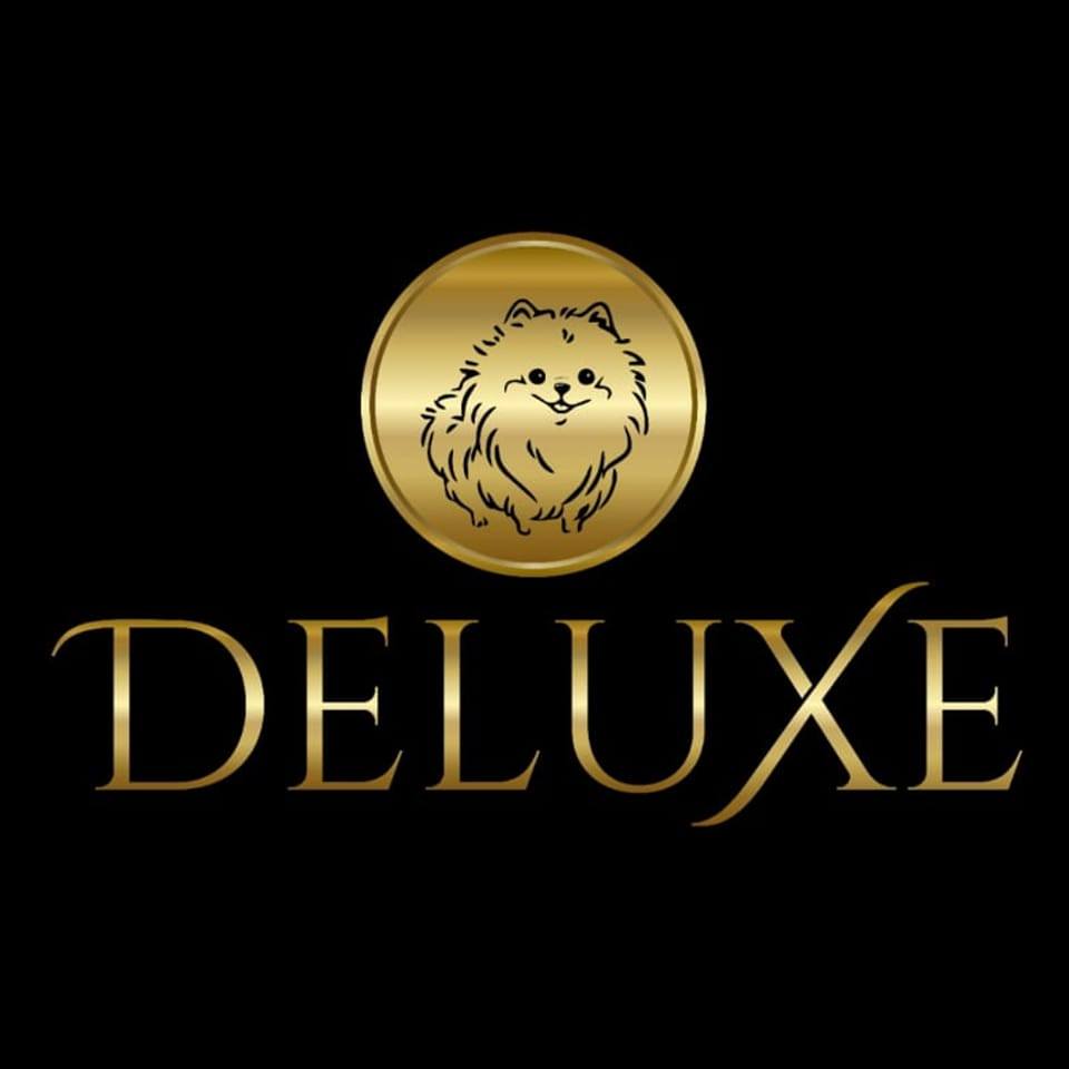 Deluxe Pet Recife